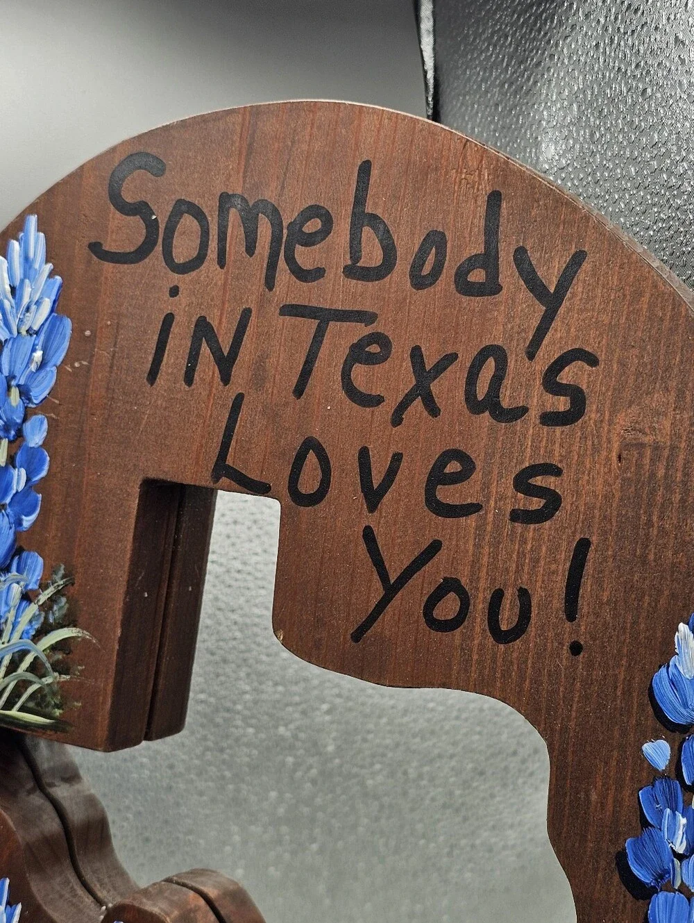 Handmade Wood Texas Mirror Wall‎ Hanging Blue Bonnet Handpainted Vintage Picture